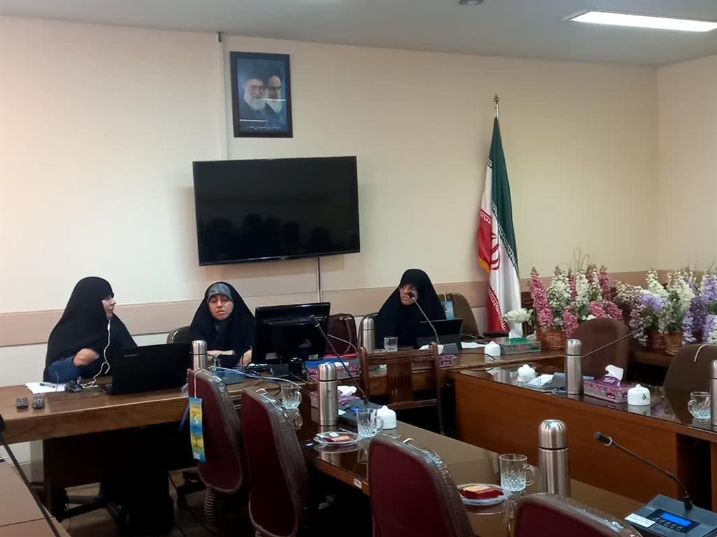 برگزاری نشست امکان سنجی سقط جنین پس از ولوج روح در جنین مبتلا به پاتو(تریزومی 13)