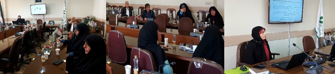 برگزاری سلسله نشست های تخصصی با محوریت اقتصاد خانواده، دومین نشست